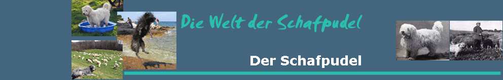 Der Schafpudel