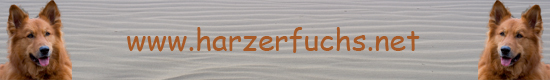 Kimba-Banner-gro