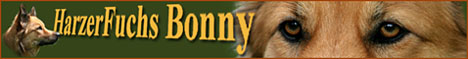 Banner von www.HarzerFuchs-Bonny.de